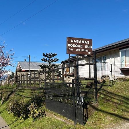Cabanas Bosque Sur プエルト・バラス エクステリア 写真