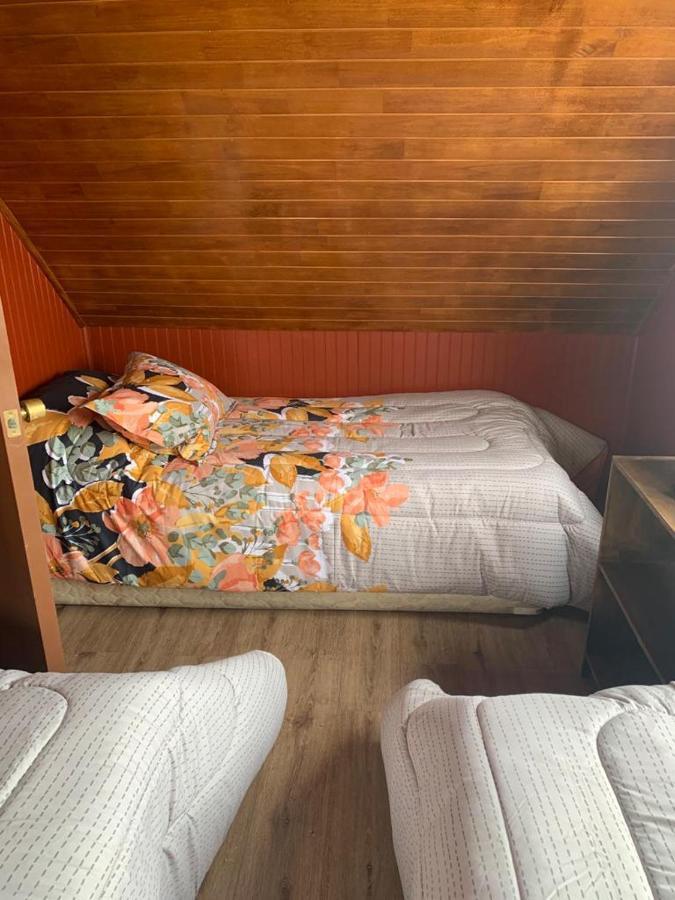 Cabanas Bosque Sur プエルト・バラス エクステリア 写真